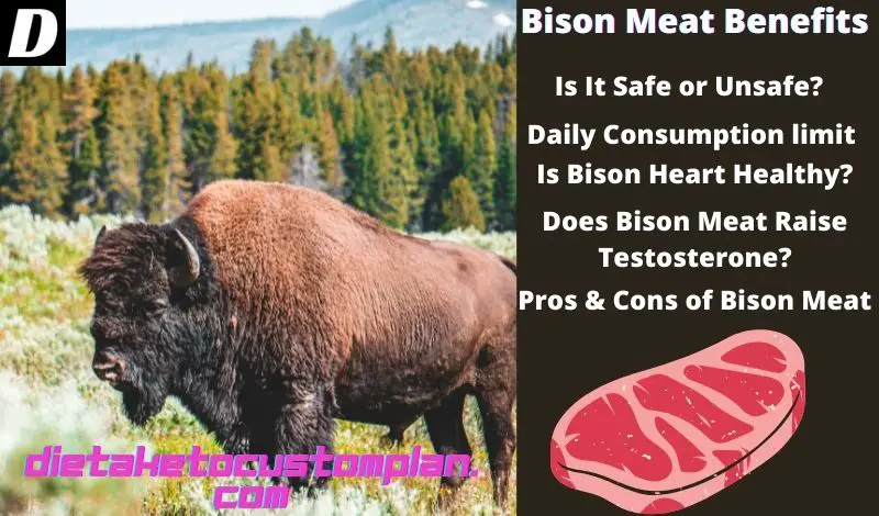 Bison meat benefits