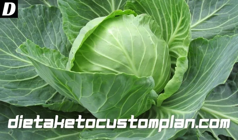 Is Cabbage Keto Friendly